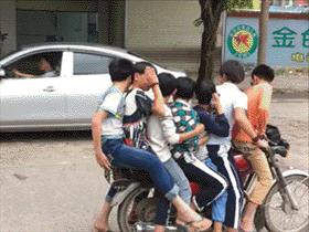 吃草能减肥的话,减肥从吃草开始