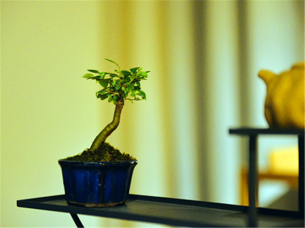 有茶时学佛听禅，有酒时便乘云学仙