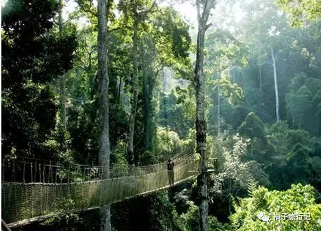 泼水节后，西双版纳该怎么玩，附防高温关注事项