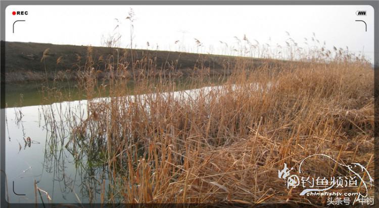 放流才有路亚的乐趣,放流能让资源更丰富