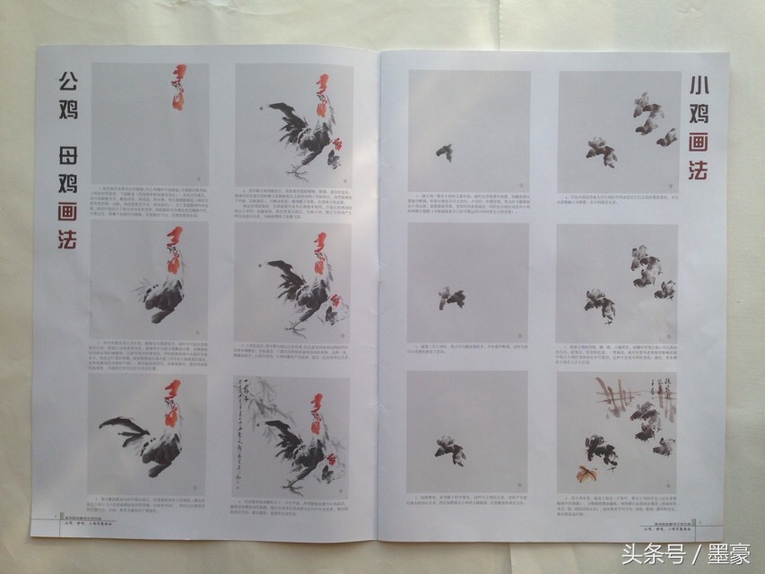 写意公鸡嘴的画法,公鸡母鸡小鸡国画图片
