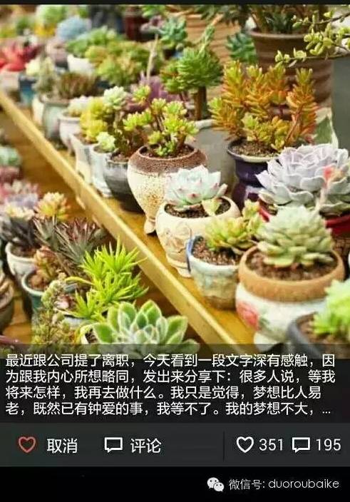 入多肉坑那些年踩过的误区,自从入了多肉坑