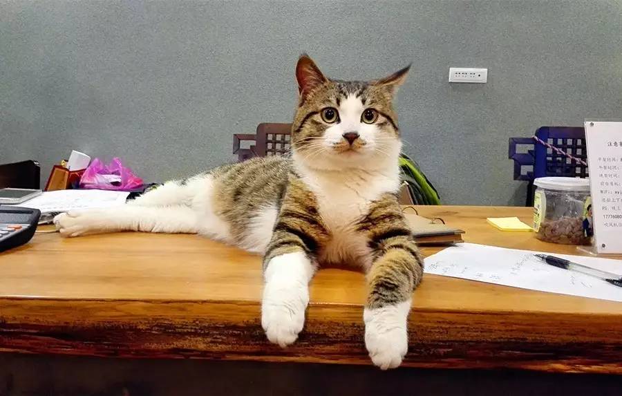 元宝山下，山水云间，悠悠闲云时光，恰好那时我也在