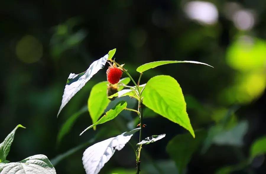 元宝山下，山水云间，悠悠闲云时光，恰好那时我也在
