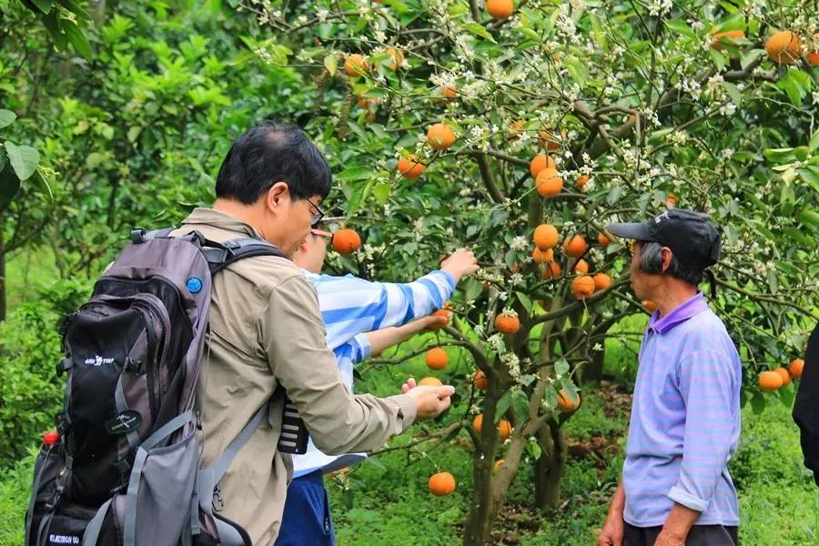 元宝山下，山水云间，悠悠闲云时光，恰好那时我也在