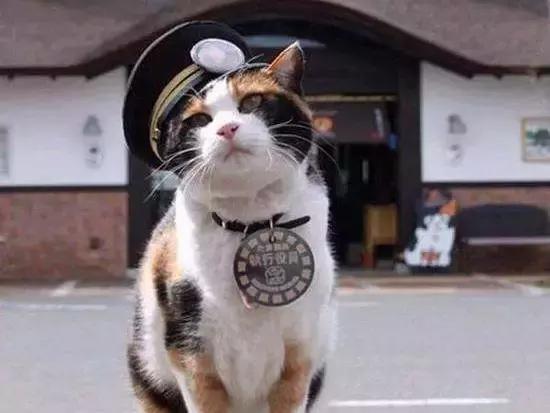 搞人的直播已经腻了，有家直播网站搞起了动物直播