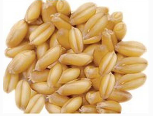 浅谈军粮一（纯干货）