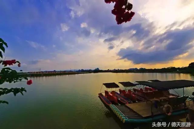 现在南宁去哪里赏花,南宁到武鸣采摘