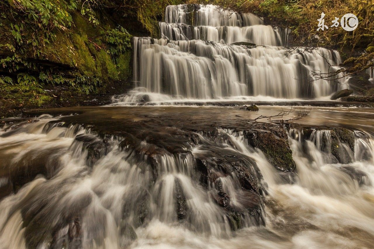 强迫性神经症的根本特点,神经性强迫症的痛苦