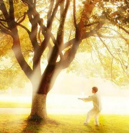 传拳不传胯的正确方法,太极拳不传口诀