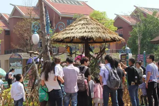 厦门灵玲国际马戏城大不大,五一厦门灵玲国际马戏