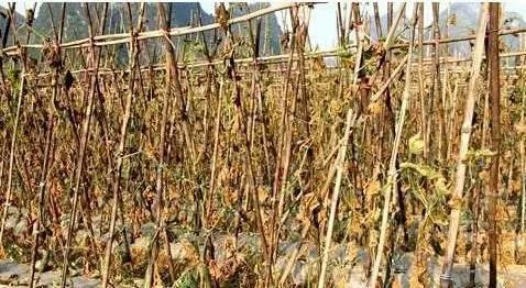 不怕死怕得病,一个人什么都不怕就是怕得病