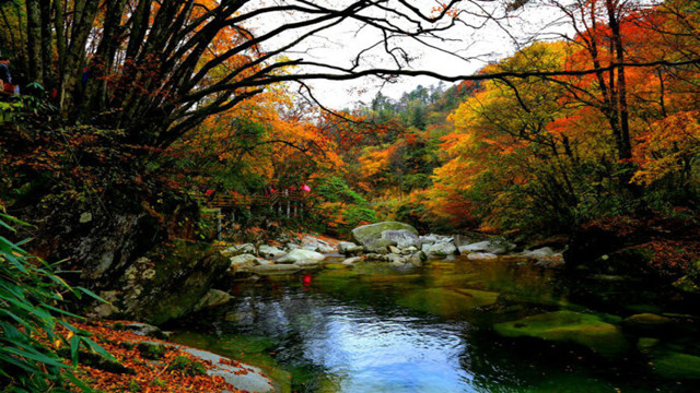 记金华的双龙洞诵读视频,记金华双龙洞诵读