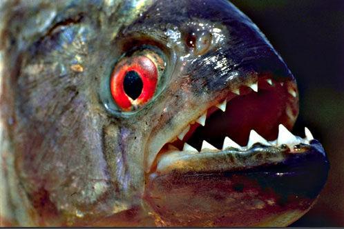 紫霜下（盗墓空间）