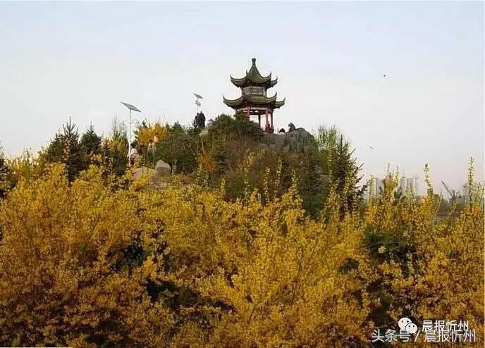 创文明城市特别策划：“我眼中最美春天”随后拍作品7