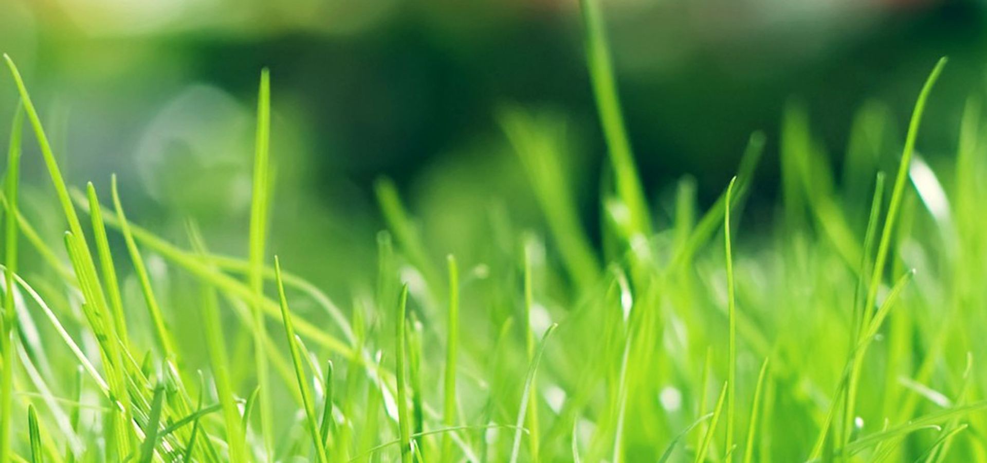 一站式掌握英语过去进行时的用法,一站式英语怎么说