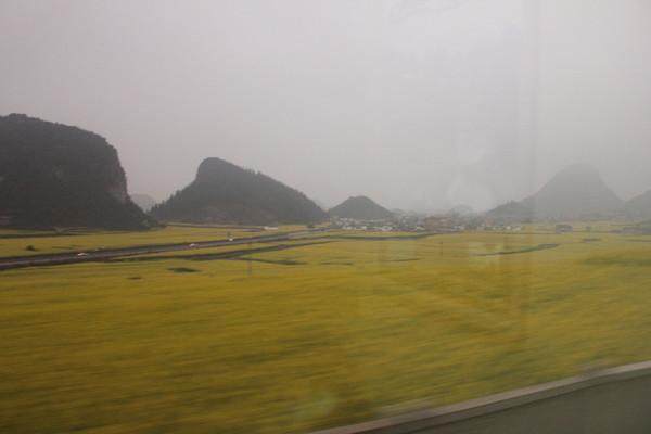 穷游云南1000元以内,穷游云南10天花费多少钱