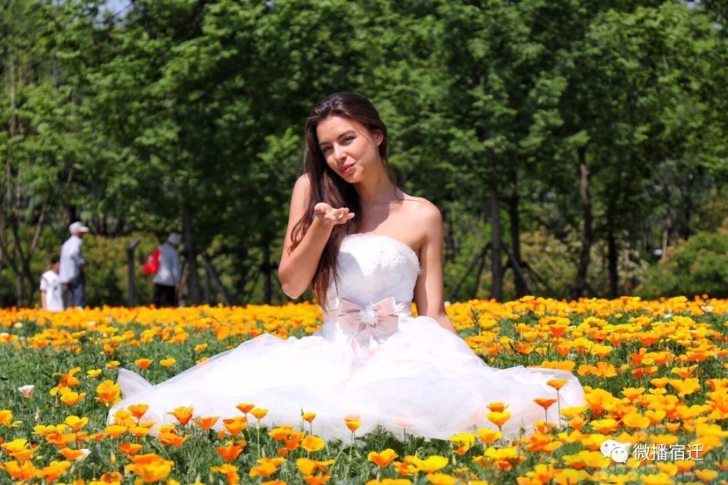 三台山五月盛开的花,5月宿迁三台山开什么花