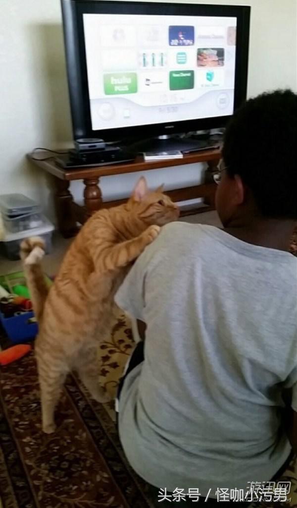 泰国广告女大十八变完整版,女大十八变泰国索尼广告