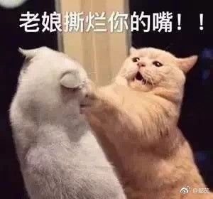 碰见嘴贱长辈怎么迅速怼回去,遇到嘴贱的朋友怎么办