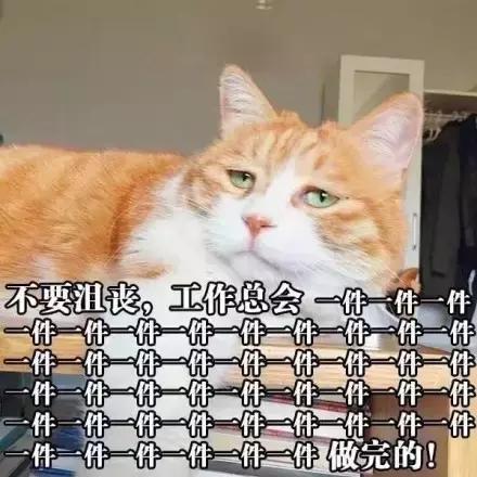 误删万字长文，清晨哭着重写｜42个新媒体人的最惨故事