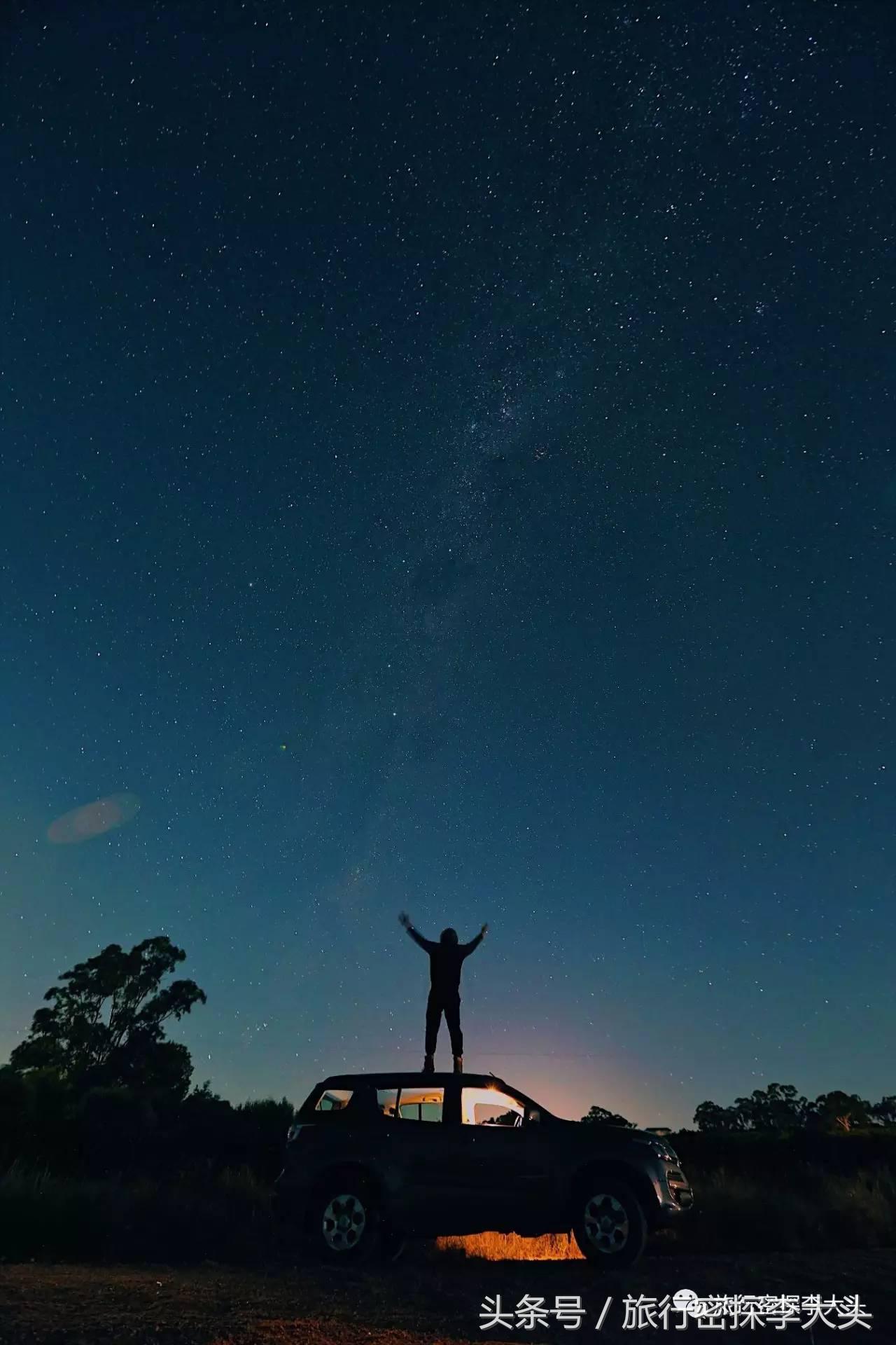 中国哪里可以抱考拉,全球哪里可以抱考拉