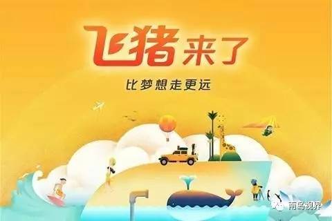 海南回乡创业青年,海南出岛务工的多吗