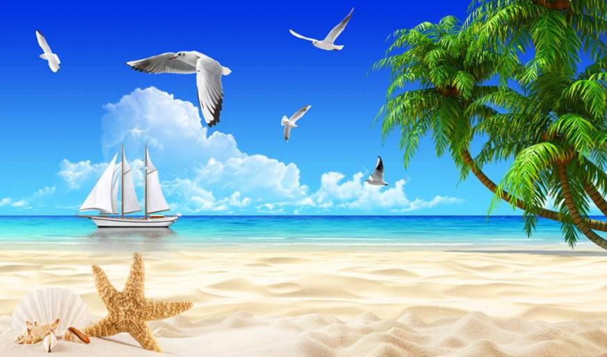 海南回乡创业青年,海南出岛务工的多吗