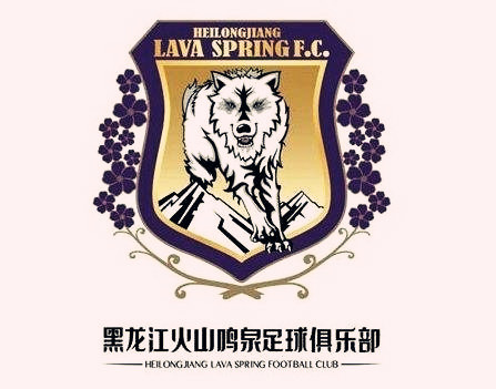 都说足协杯面子工程东三省的足球脸面，只能由一支乙级队来撑？