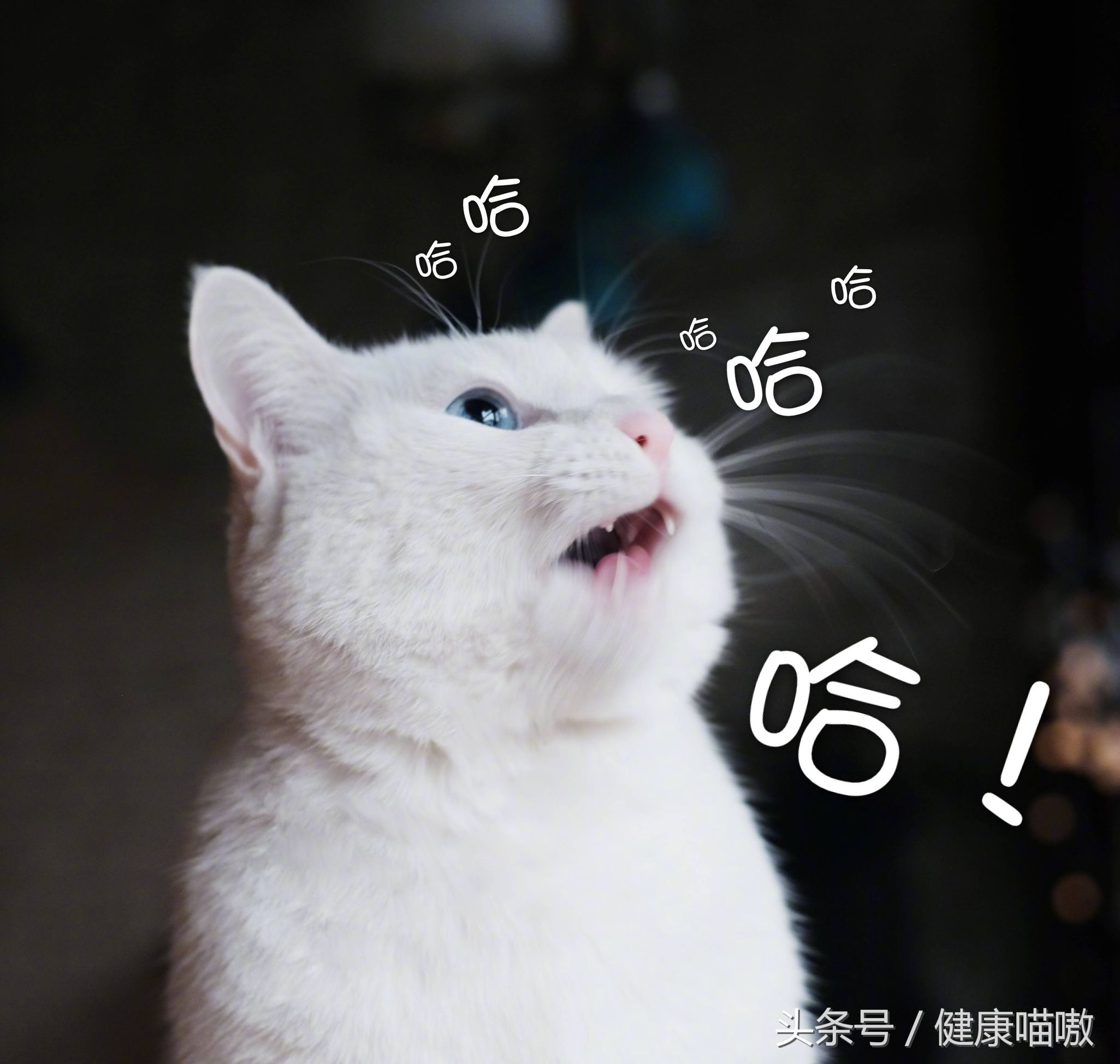 如何减少皱纹的产生，永葆青春