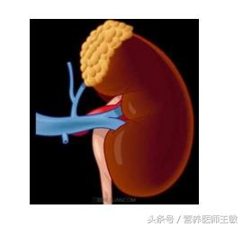 狼疮性肾炎生活及饮食宜忌,狼疮性肾炎患者日常生活关注事项