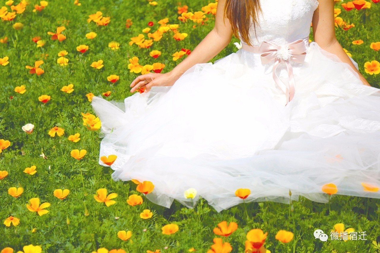 三台山五月盛开的花,5月宿迁三台山开什么花