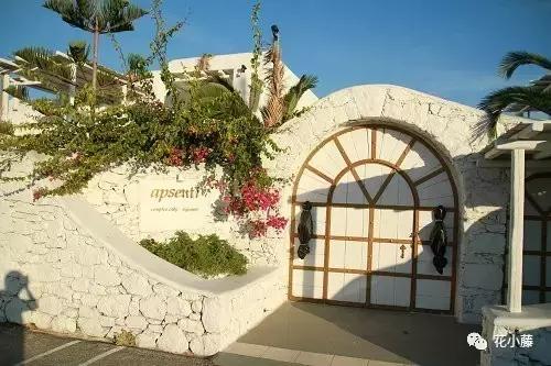 中国的哲学聪颖,中国的哲学和西方的科学