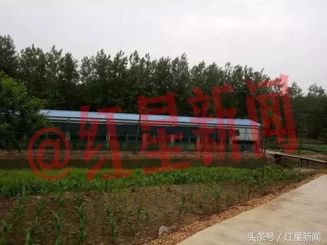 养鹦鹉被判刑的有多少,卖鸟被判10年