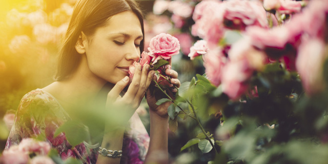 香水鉴赏方法,香水的优劣