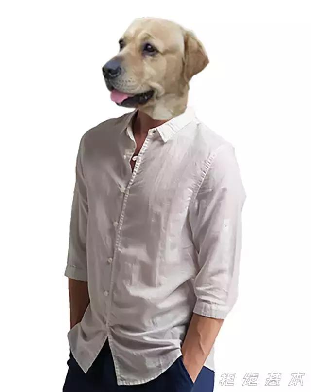 男性短裤穿几年有危害吗,短裤对跑步的影响