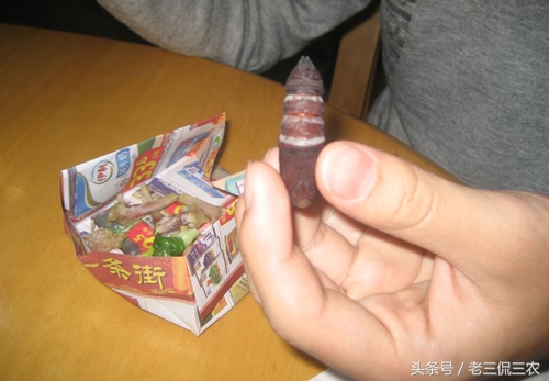 这像毛毛虫的野味，谁见过？又有谁敢吃？我是不止吃过一次，香！