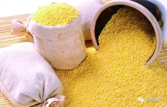 吃小米有什么好处和功效,吃小米的好处和功效与作用