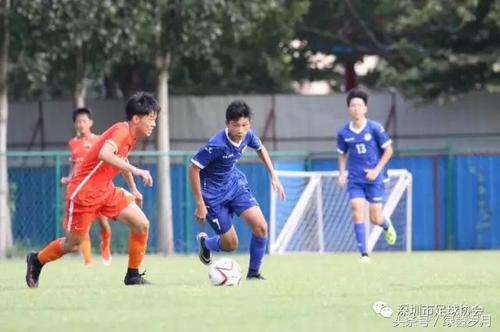 深圳队足球人员名单,广东深圳球员2023最新名单