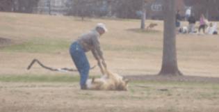 蝴蝶结系法慢动作diy,三秒蝴蝶结系法