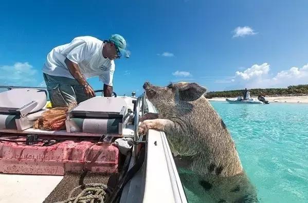 比马尔代夫便宜的小众海岛,马尔代夫免签好去处