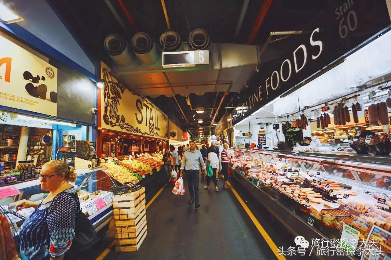 中国哪里可以抱考拉,全球哪里可以抱考拉