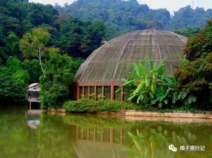 泼水节后，西双版纳该怎么玩，附防高温关注事项