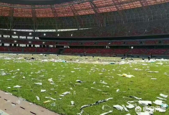 中国足球专业建设,中国足球未来5年发展前景