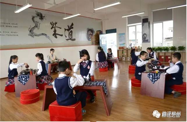 关乎数万家长，柳北区教育改革放大招