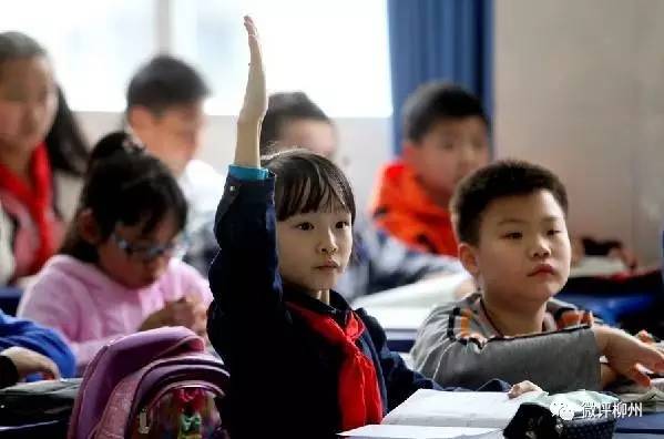 关乎数万家长，柳北区教育改革放大招