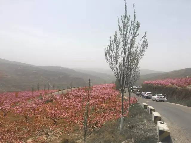 秦安县慈善事业,秦安公益活动图片