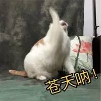 为什么秦皇岛鼻炎那么多,秦皇岛有过敏性鼻炎吗