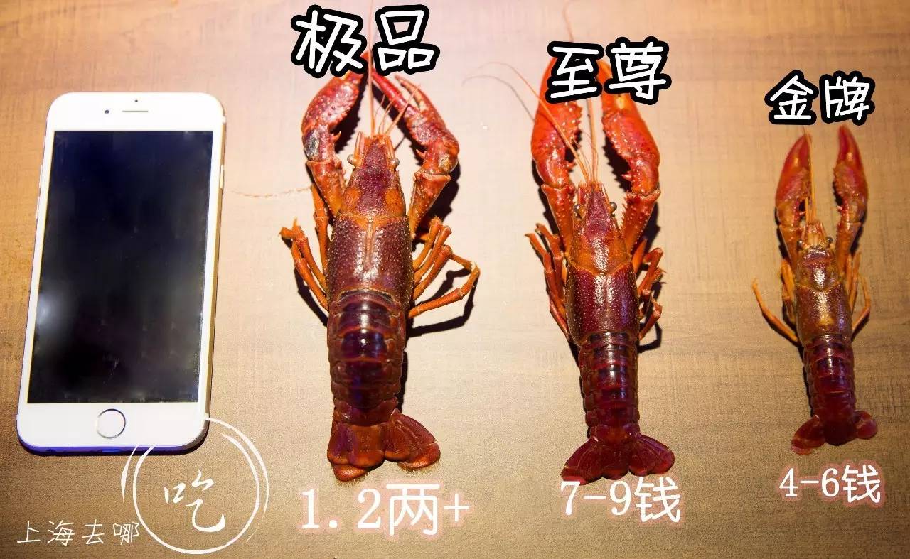 这家店营业到清晨2点，卖的都可以选Size，还给手活儿好的打折……