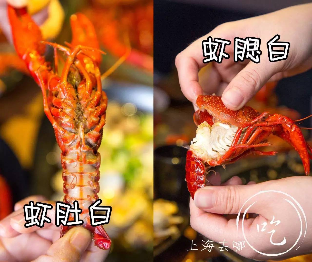 这家店营业到清晨2点，卖的都可以选Size，还给手活儿好的打折……